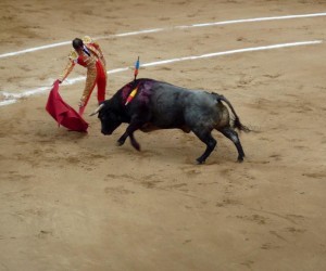 Feria de Cali Corrida de Toros Fuente foto gastan sk